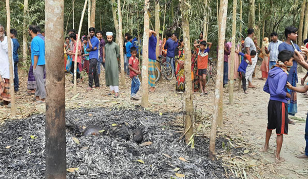 মাগুরায় হত্যার পর লাশ পুড়িয়ে দিলো দুর্বৃত্তরা