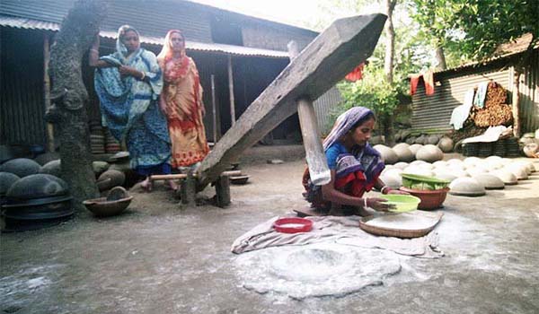 কুমিল্লা দক্ষিনাঞ্চলে গ্রাম বাংলার ঐতিহ্য ঢেঁকি এখন অস্তিত্ব সংকটে