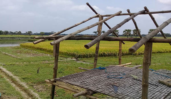 কেশবপুরে আদালতের নিষেধাজ্ঞা অমান্য করে বিরোধপূর্ণ জমিতে টোংঘর নির্মাণ