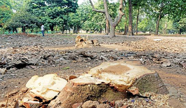 স্বাধীনতা স্তম্ভ প্রকল্প : মূল পরিকল্পনায় গাছ কাটা ছিল না