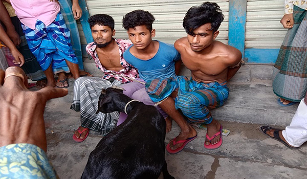 শশীভূষণে মটরসাইকেলে করে ছাগল চুরির সময় তিন চোর আটক