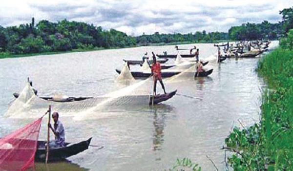 হতাশ হালদার ডিম সংগ্রহকারীরা