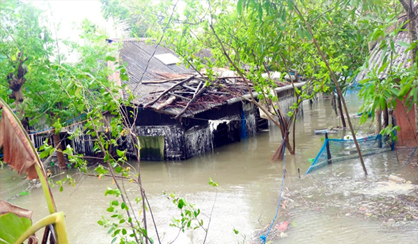 উপকূলের চারদিকে পচা দুর্গন্ধ, সর্বস্বান্ত করেছে নোনা পানি