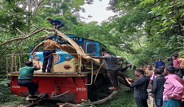 লাউয়াছড়া জাতীয় উদ্যানে আন্ত:নগর পারাবত ট্রেন এক ঘন্টা আটকে আছে