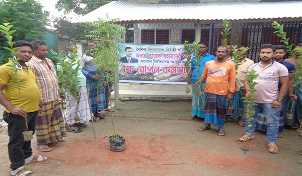 চৌগাছায় দৈনিক দিনকাল পত্রিকার নির্বাহী পরিচালক তারেক রহমানের পক্ষে বৃক্ষরোপণ