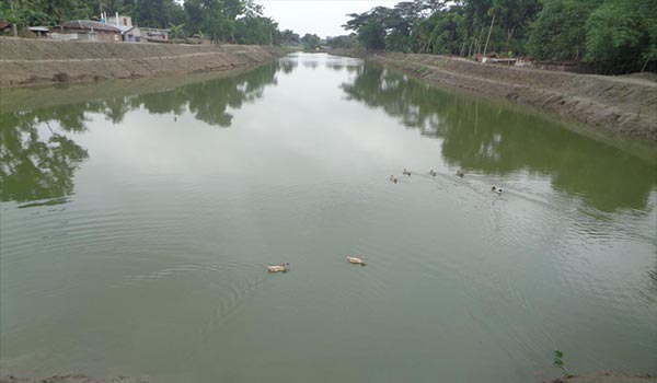 চৌগাছার বর্ষাগাড়ি খাল অপরিকল্পিত ভাবে খনন!