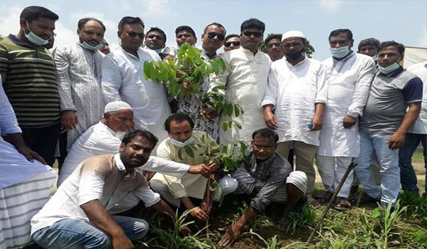 সিরাজগঞ্জে বিএনপির বৃক্ষ রোপণ কর্মসুচির উদ্বোধন