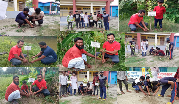 তারেক রহমানের নির্দেশে যুবদলের ২ দিন ব্যাপী বৃক্ষরোপণ ভেড়ামারায়