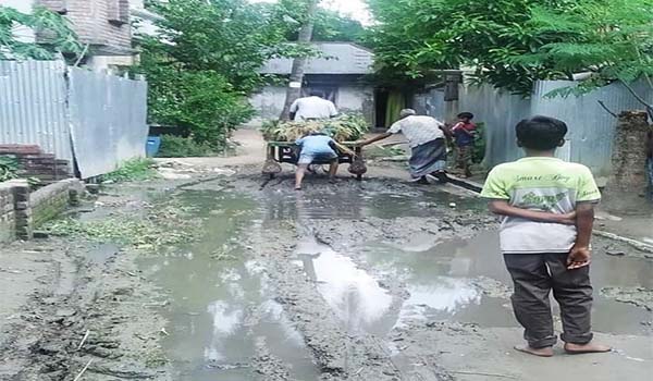 চরম ভোগান্তিতে কুষ্টিয়া পৌরসভার ১৭নং ওয়ার্ডবাসী