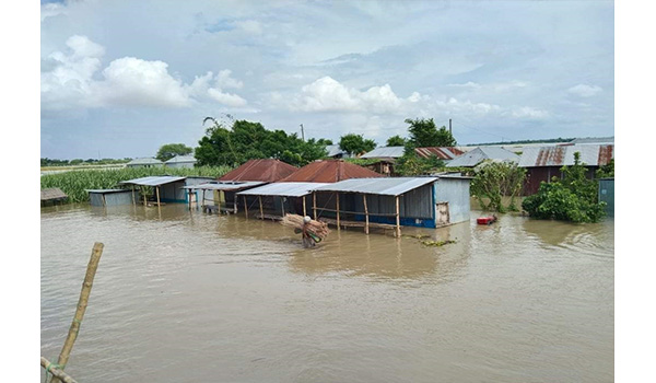 দৌলতপুরে পদ্মা নদীতে অস্বাভাবিক পানিবৃদ্ধি নিম্নাঞ্চল প্লবিত ২ শিশুর মৃত্যু