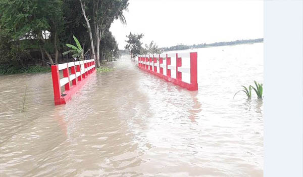 ফরিদপুরে পদ্মা নদীর পানি বৃদ্ধি অব্যাহত