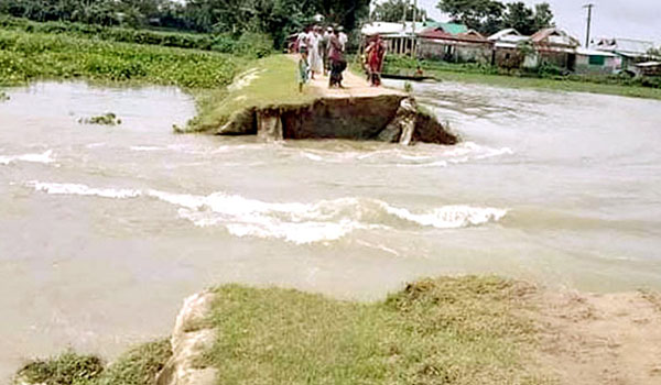 সুনামগঞ্জে হাওরের বেড়িবাঁধ কেটে দেওয়ায় কৃষকদের ব্যাপক ক্ষয়ক্ষতি