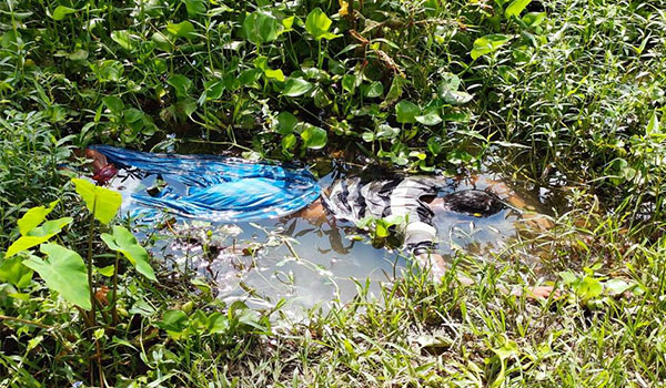 নোয়াখালীতে ডোবা থেকে যুবকের পা বাধা মরদেহ উদ্ধার