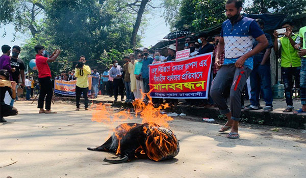 ডেঙ্গু নিয়ন্ত্রণে ব্যর্থতা : রাজধানীতে মেয়র তাপসের কুশপুত্তলিকা দাহ