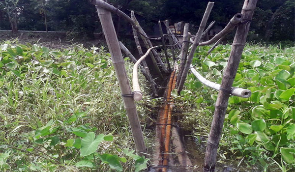 আগৈলঝাড়ায় হাজার হাজার জনগণের যাতায়াতের একমাত্র ভরসা বাঁশের সাঁকোটি