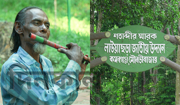 বাদক মদিনার বাঁশির সুরে ছুটে আসেন দর্শনার্থী