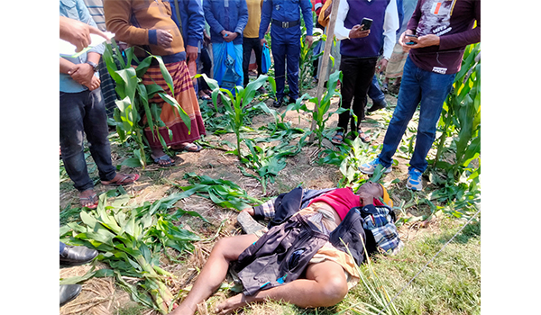 গুরুদাসপুরে ভুট্টা ক্ষেত থেকে বৃদ্ধের মরদেহ উদ্ধার