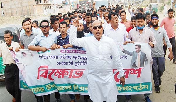 আনোয়ারা উপজেলা বিএনপির বিক্ষোভ সমাবেশ ও মিছিল