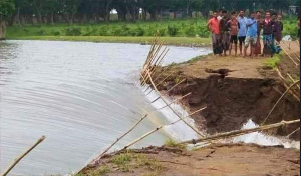 টাঙ্গুয়ার হাওরে ফের ভাঙল বাঁধ, পানির নিচে ১০০ একর বোরো ফসল