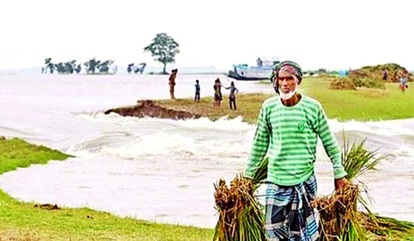 সুনামগঞ্জে প্রায় ৩ শত কোটি টাকার ক্ষয়ক্ষতি : পানি নিয়ে বিপদে কৃষক