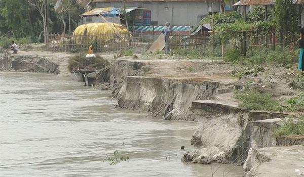 কুড়িগ্রামে অসময়ে তিস্তার ভাঙনে দিশেহারা মানুষ