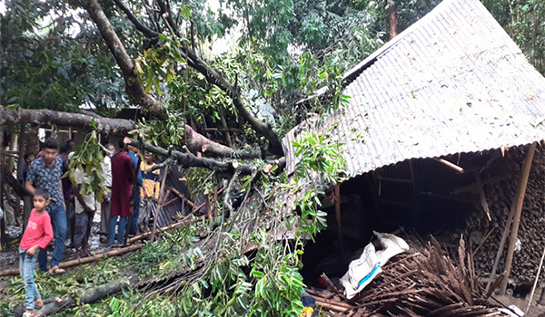 সুনামগঞ্জে কালবৈশাখী ঝড়ে ঘরে গাছ পড়ে ২ সন্তানসহ মা নিহত