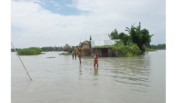 গুরমার হাওরে বাঁধ উপচে ঢুকছে পানি