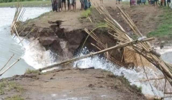 দিরাইয়ে বাঁধ ভেঙ্গে একটার পর একটা হাওর ডুবছে