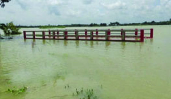 কুড়িগ্রামে পাহাড়ি ঢলে ৪০ গ্রামের মানুষ পানিবন্দি