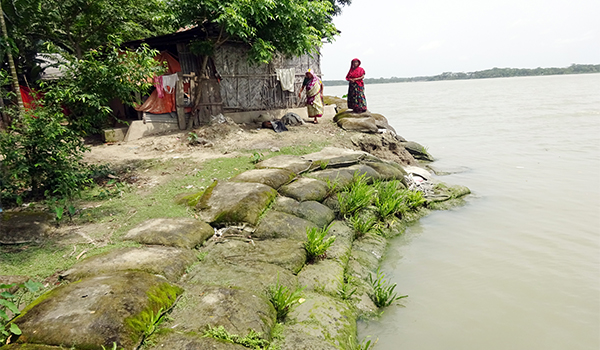 মোড়লগঞ্জে পানগুছির অব্যাহত ভাঙ্গনে হাজারও পরিবার দিশেহারা