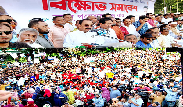 সরকার জনগণের হাতে হারিকেন ধরিয়ে দিয়েছে : গয়েশ্বর