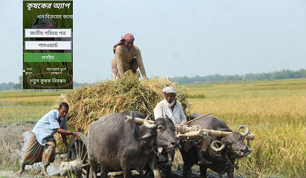 অ্যাপে ধান-চাল ক্রয়ে সাড়া কম কৃষকের