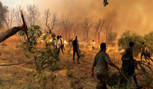 আলজেরিয়ার ভয়াবহ দাবানল, নিহত- ২৬