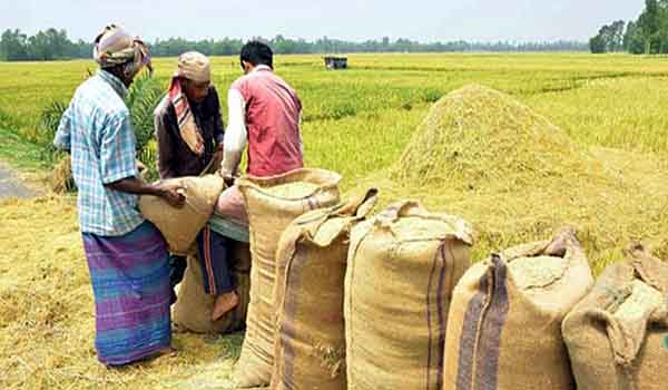 ডিজেল-সারসহ অন্যান্য দ্রব্যমূল্যের ঊর্ধ্বগতিতে দুশ্চিন্তা কাটছে না কৃষকের