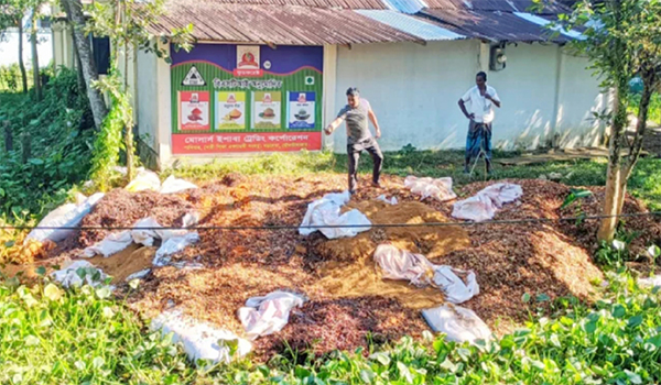 কাঠের গুঁড়া ও পচা মরিচে রং মিশিয়ে তৈরি করা হতো গুঁড়া মসলা