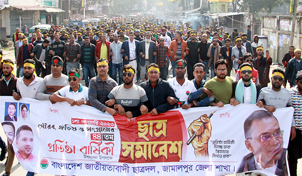 সরকার ক্ষমতাকে পাকাপোক্ত করতে গ্রেফতার, হামলা-মামলা, গুম-খুন করছে : মামুন