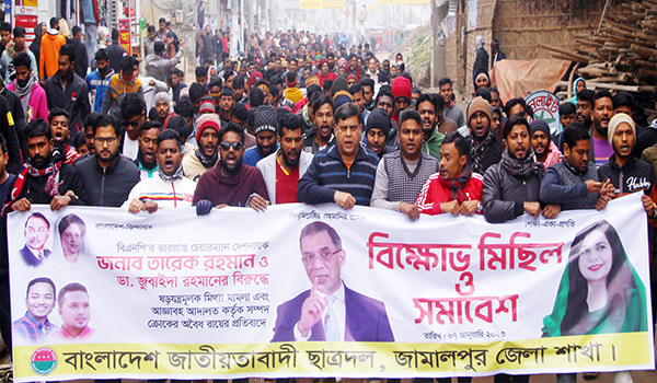 তারেক রহমানের নেতৃত্বে বাংলাদেশে গণতন্ত্র ফিরে আসবে : ওয়ারেছ আলী মামুন