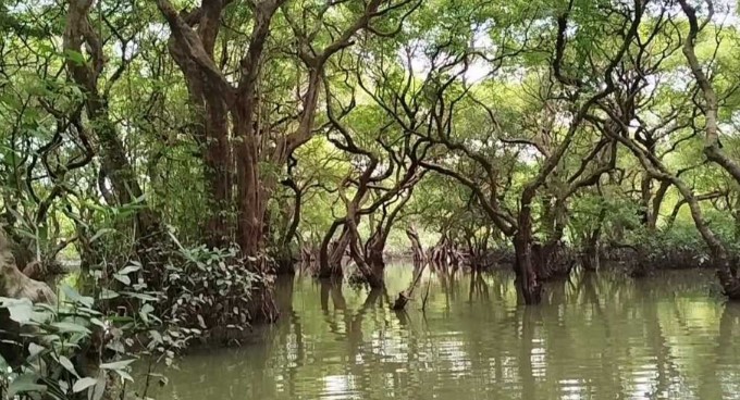 প্রকৃতির লীলাভূমি রাতারগুল হারাচ্ছে পর্যটন আকর্ষণ, কমছে পর্যটক