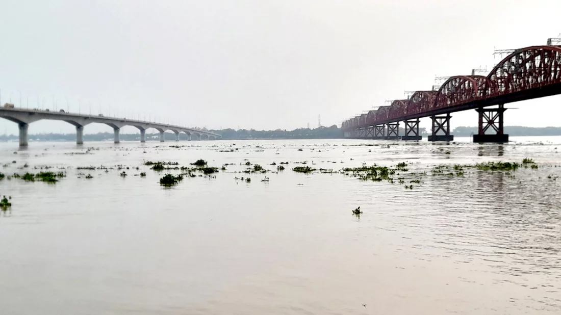 তলিয়ে গেছে পদ্মা পাড়ের ফসল 