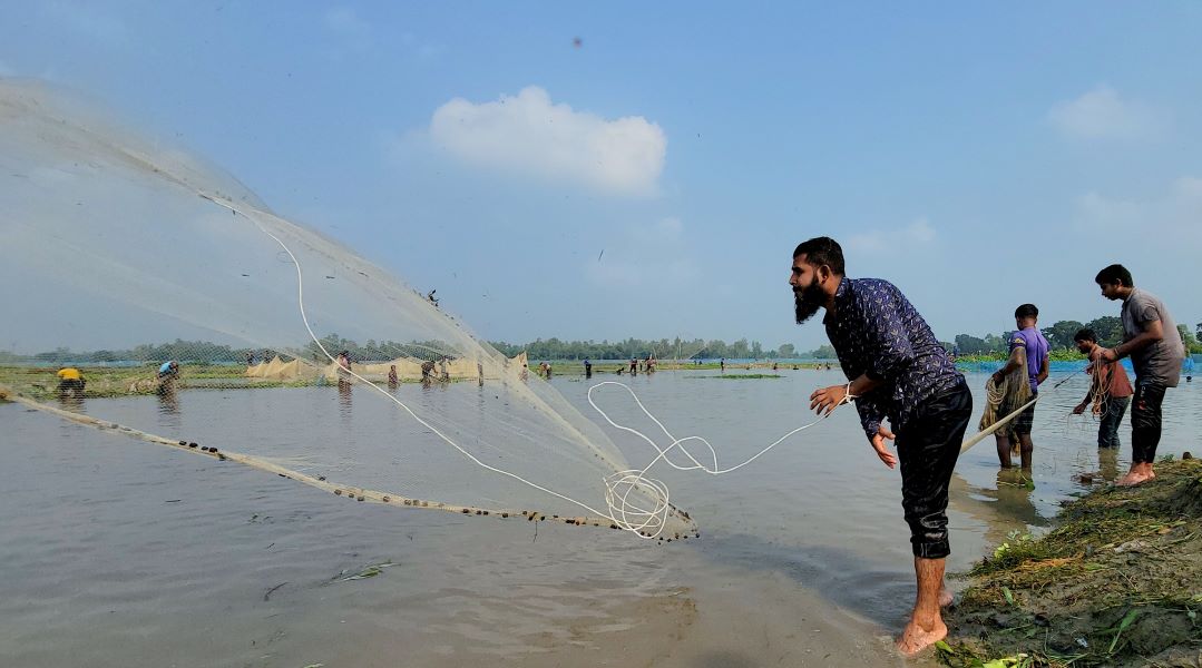 বুড়ির বাঁধে মাছ শিকার উৎসবে মেতেছে ঠাকুরগাঁওবাসী