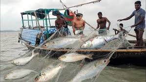 মধ্যরাত থেকে নদী ও সাগরে জাল ফেলবেন জেলেরা