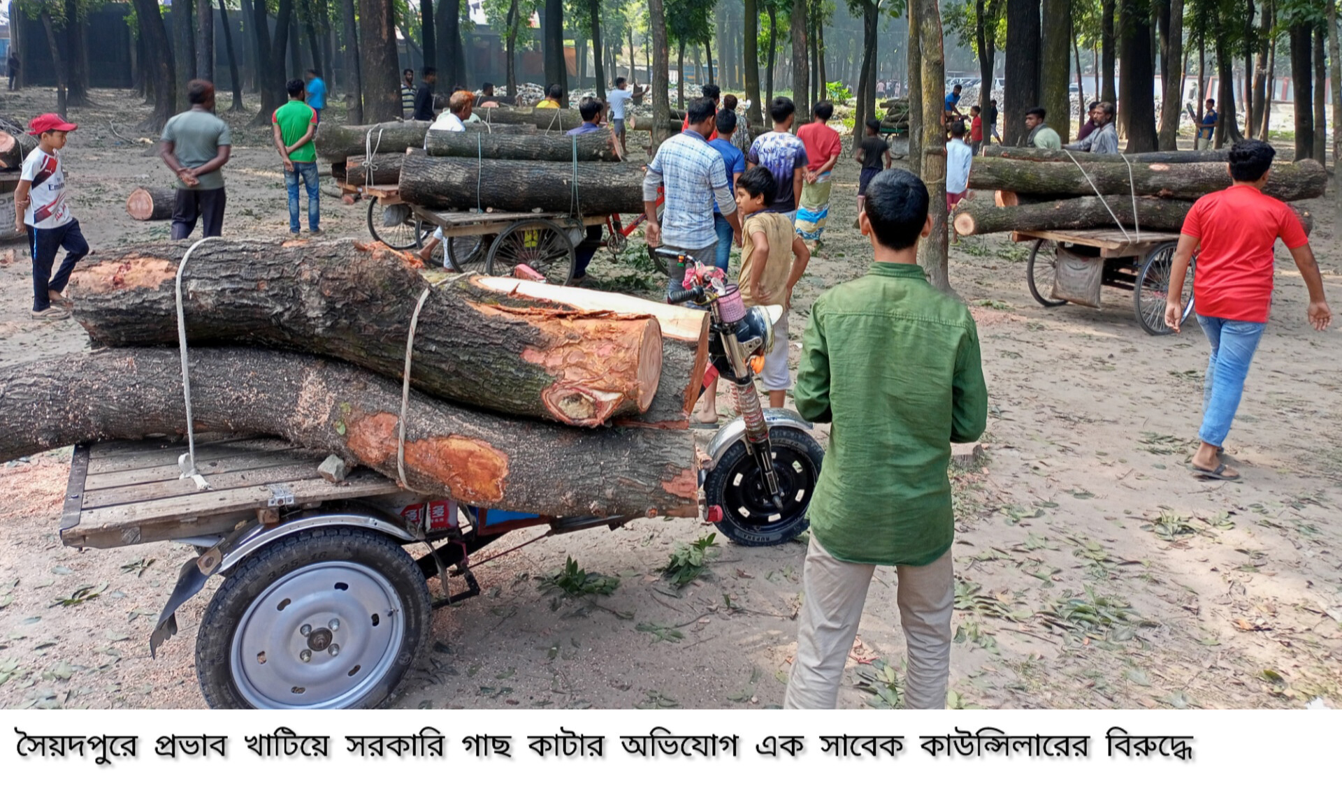 সৈয়দপুরে প্রভাব খাটিয়ে সরকারি গাছ কাটার অভিযোগ