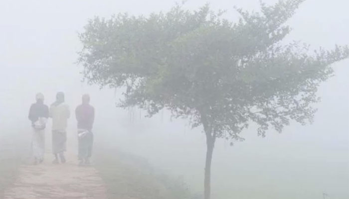 কনকনে ঠান্ডায় কাঁপছে দেশ, তাপমাত্রা আরও কমবে