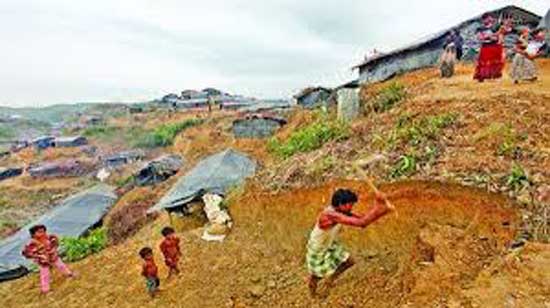 রোহিঙ্গা বসতিতে কোণঠাসা পরিবেশ, ৮ হাজার একর বন উজাড়, ক্ষতি সাড়ে ৬ হাজার কোটি টাকা