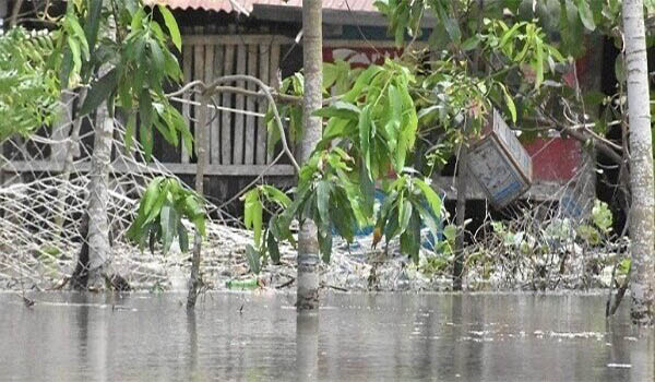 বরগুনার তালতলী কয়েক হাজার পরিবার পানিবন্দি, খাবার পানির সংঙ্কট